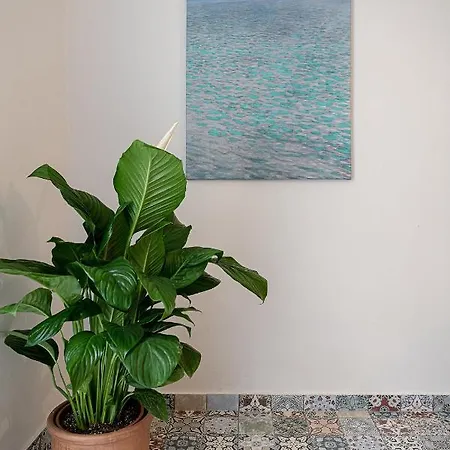 Dante Apartment